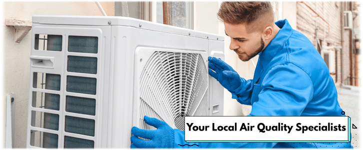 Roswell FreshNest Indoor Air