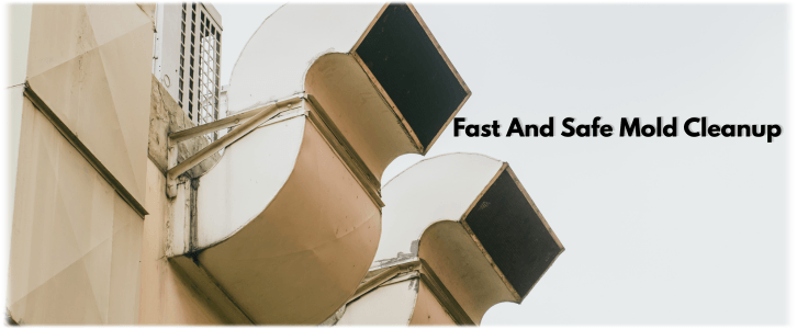 Air Duct Mold Removal in Roswell GA